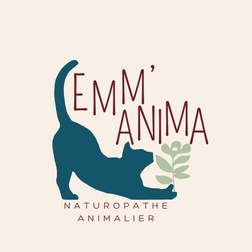 EMMANIMA