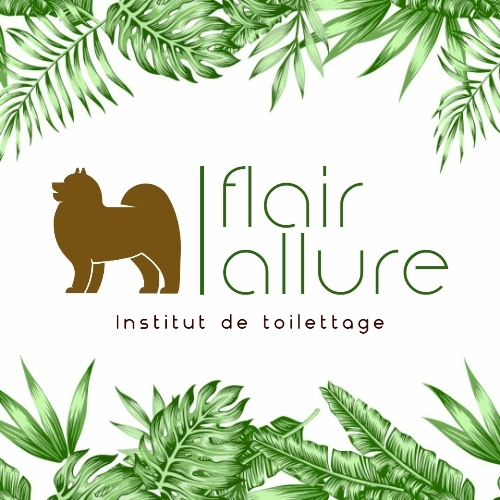 Flair'allure l'institut de toilettage canin et félin