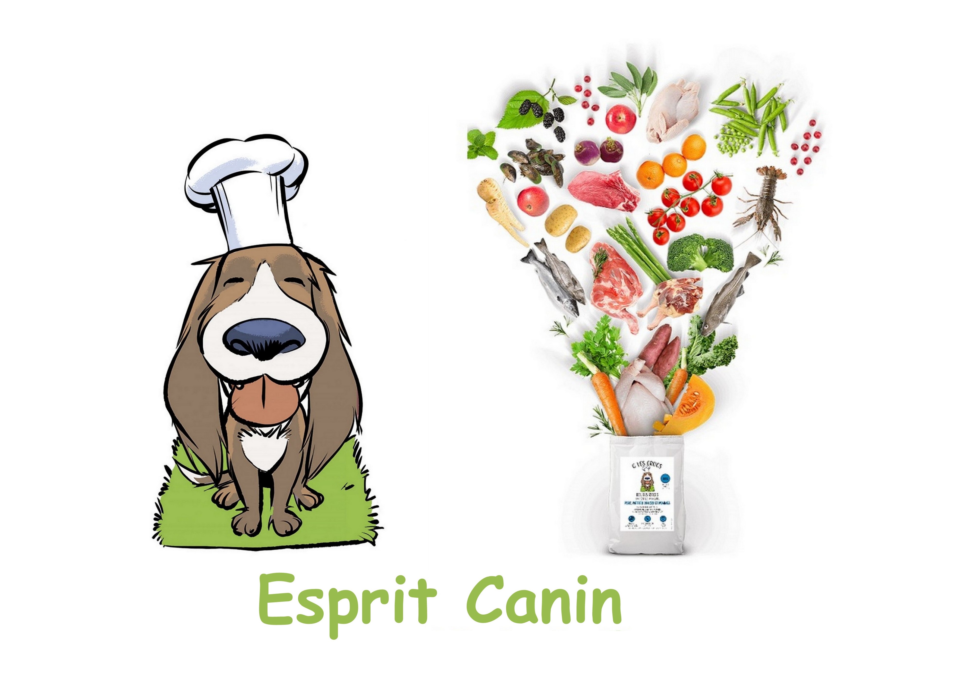 Esprit Canin - Educateur et Comportementaliste Canin à Domicile à Marseille
