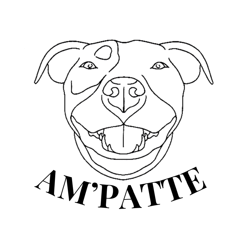 🐾AM'PATTE🐾 Educateur Comportementaliste canin