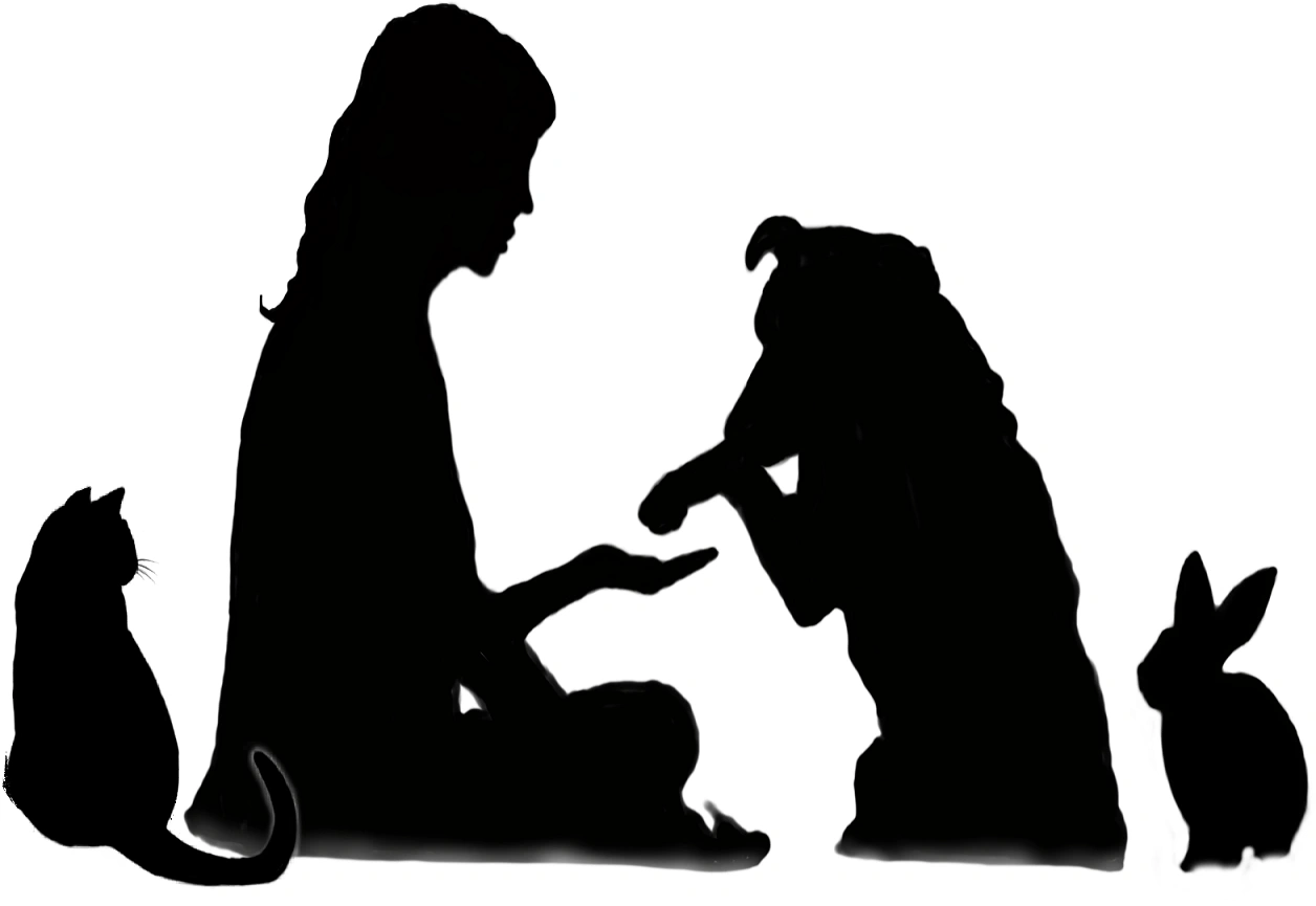 Am'Animal Comportementaliste