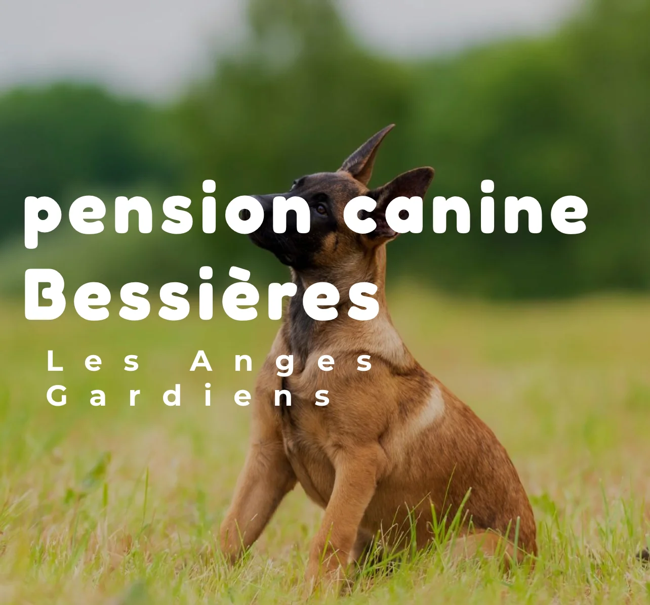 Les Anges Gardiens