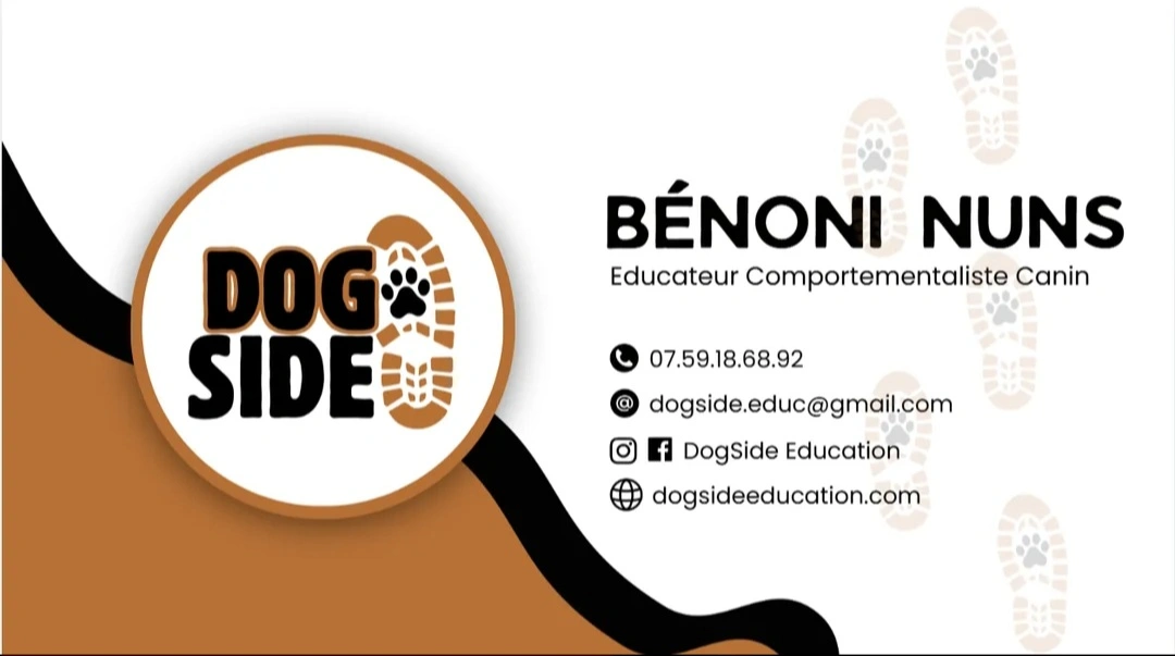 DOGSIDE Education - Éducateur Comportementaliste Canin - Tous âges/Toutes races/Tous problèmes