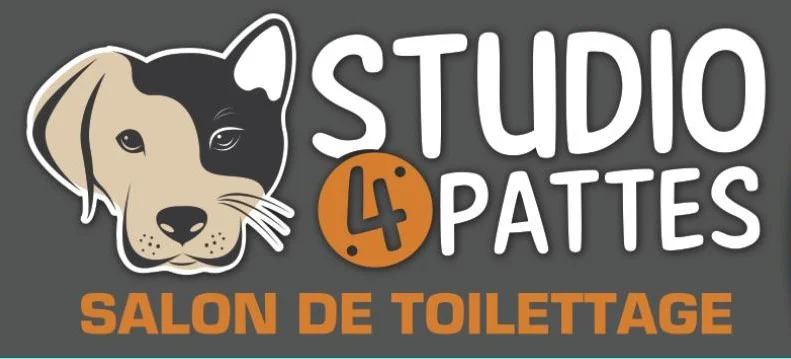 Studio 4 pattes