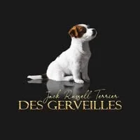 Élevages des Gerveilles