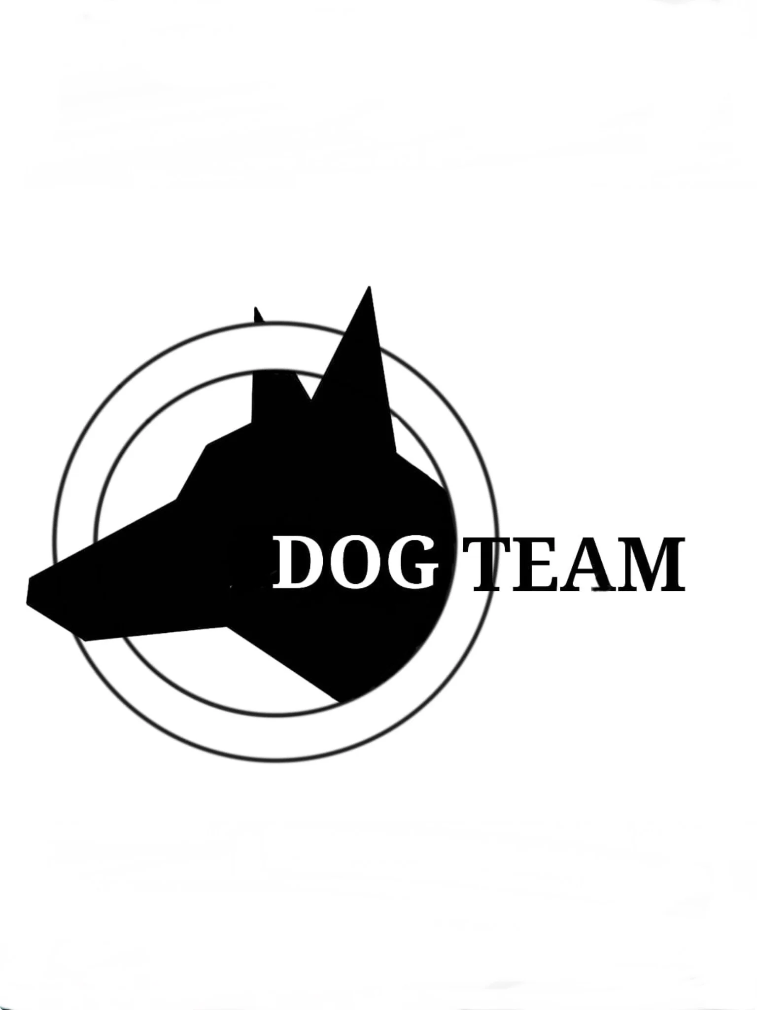 Educateur canin - DogTeam