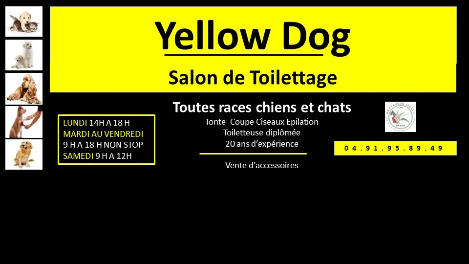 Yellow Dog