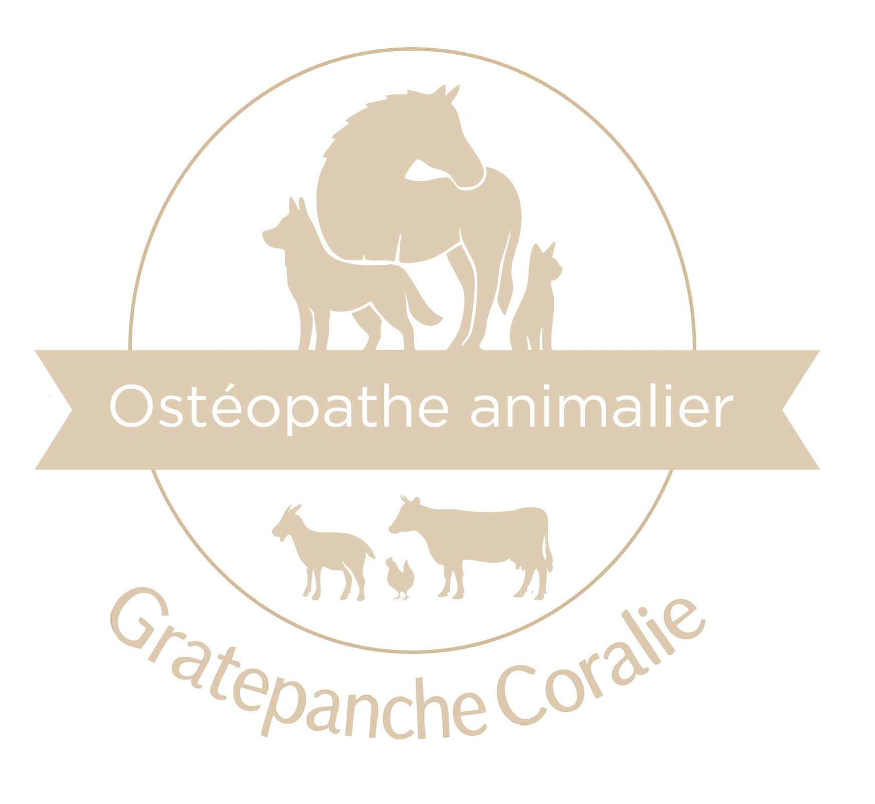 Ostéopathe Animalier Gratepanche Coralie