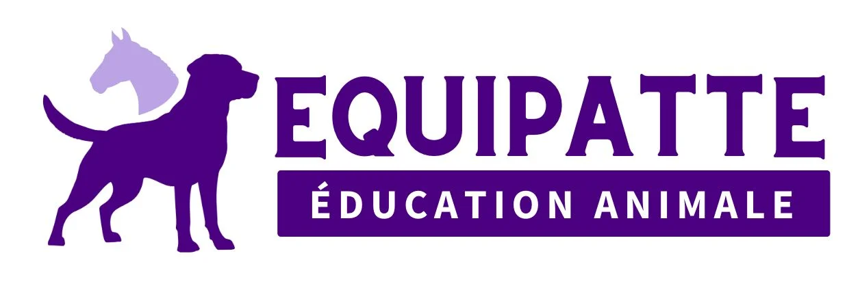Equipatte