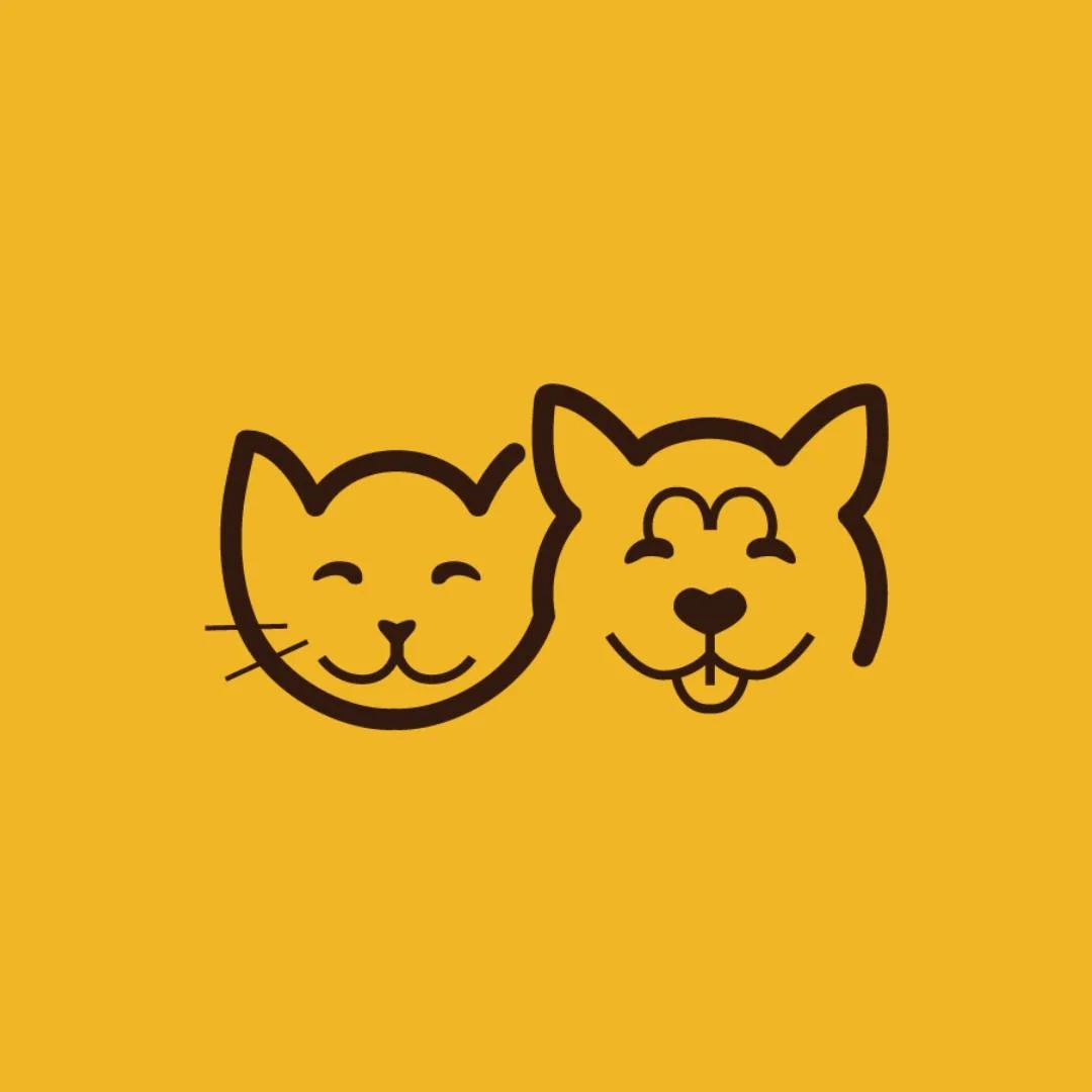 A 4 PATTES