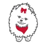 pet sitter jess
