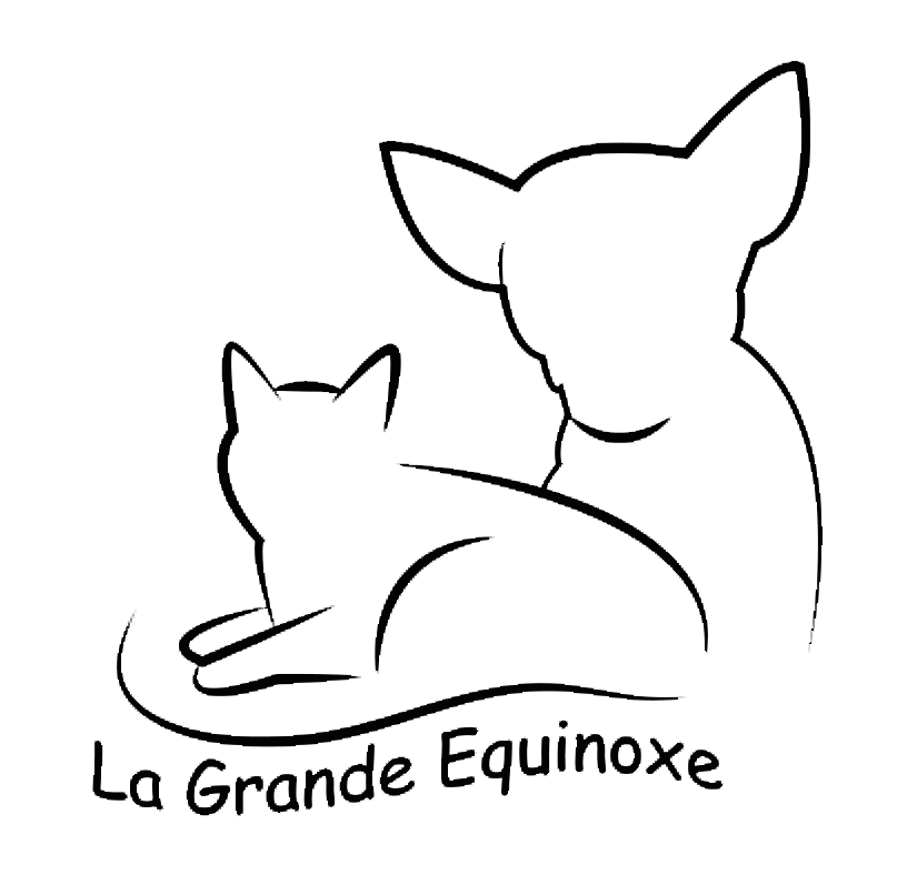 La Grande Equinoxe