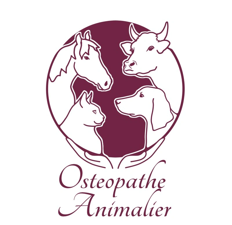 Maïlys Meyre - Ostéopathe Animalier