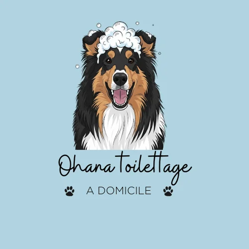 Ohana toilettage🌺