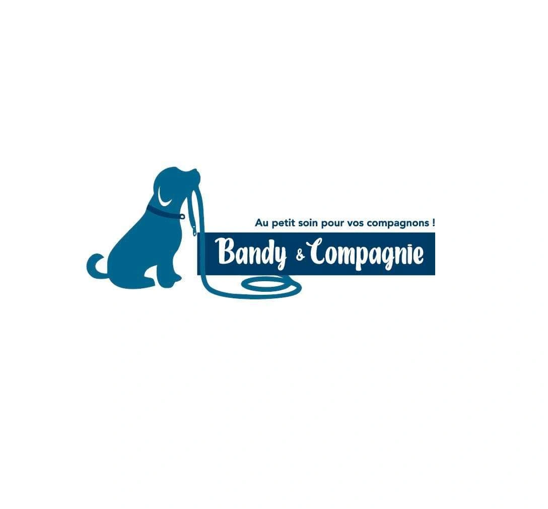 Bandy et Compagnie