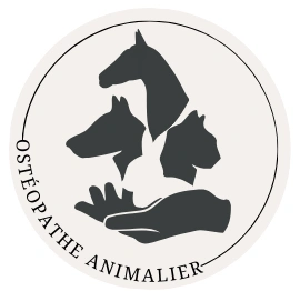 Pauline VONÉ - Ostéopathe animalier OA 1398