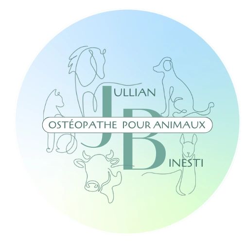 Jullian Binesti Ostéopathe pour Animaux