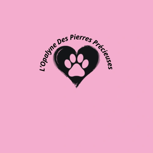 L’opalyne des pierres précieuses