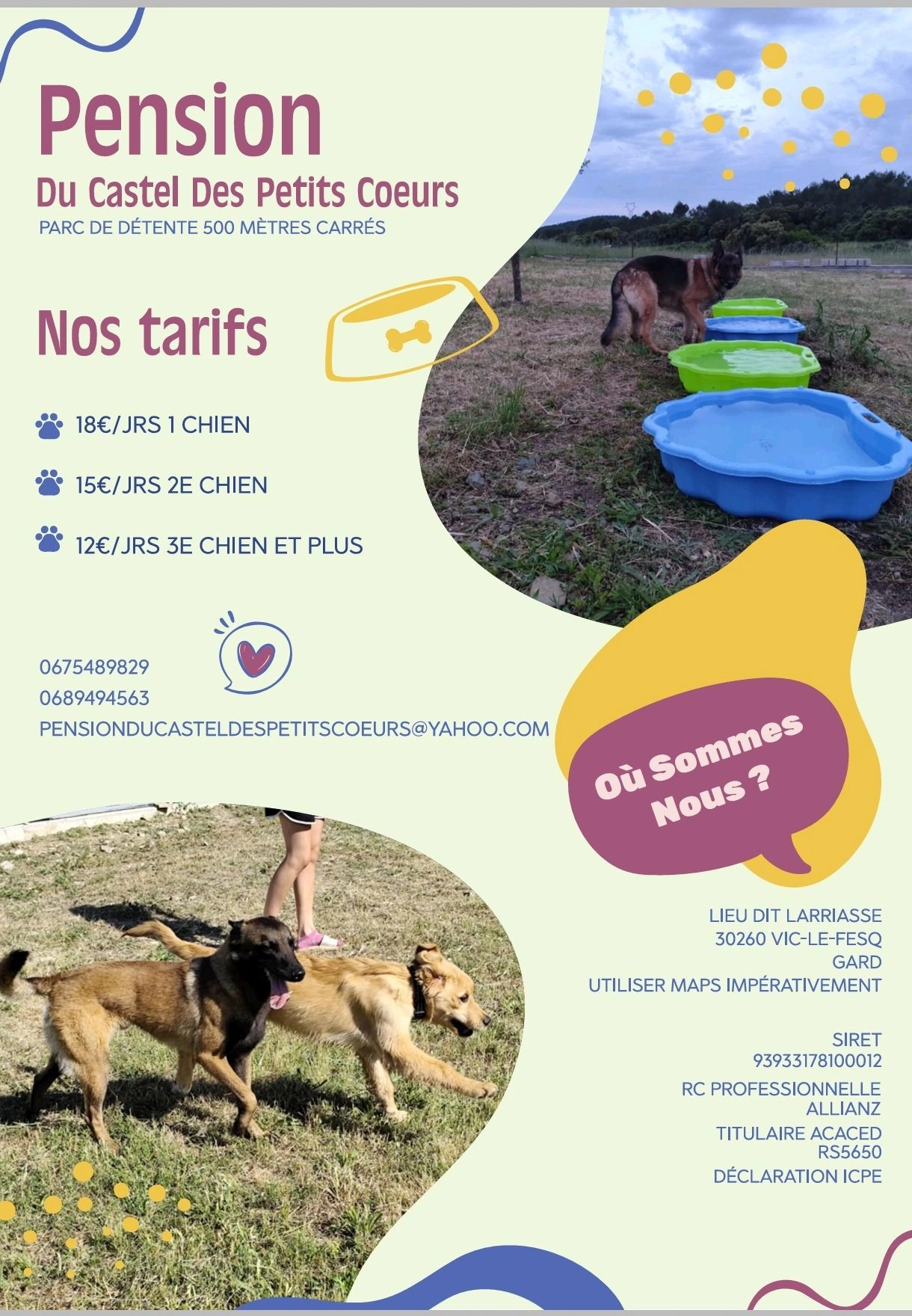 Pension et Elevage Canin Du Castel Des Petits Cœurs