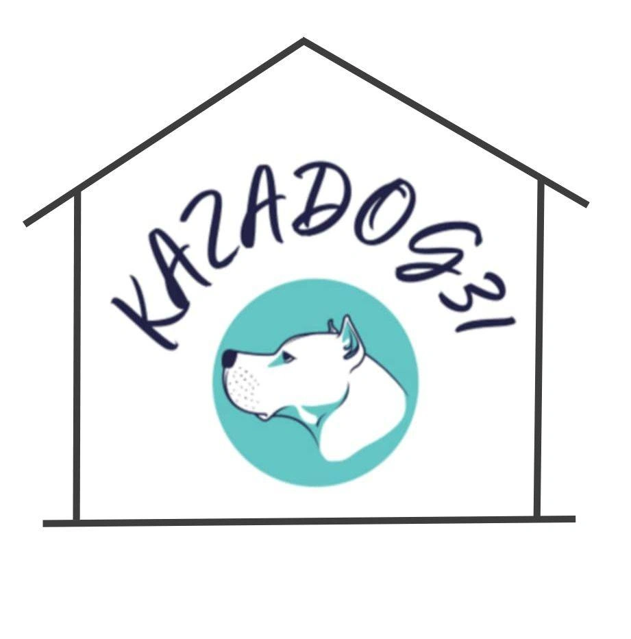 KAZADOG31