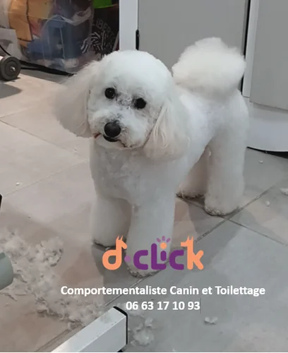 Dclick