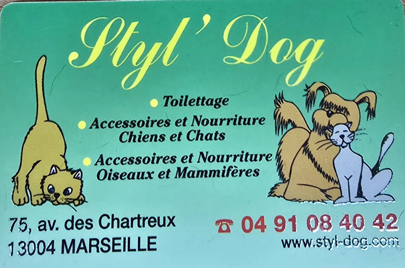 Styl's Dog