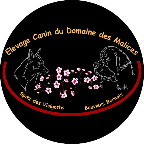Elevage Canin Du Domaine Des Malices