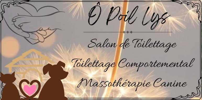 Ô Poil Lys