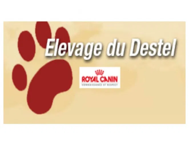 Elevage du Destel