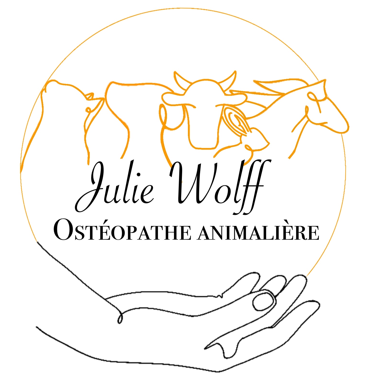 Ostéopathe animalière - Julie Wolff