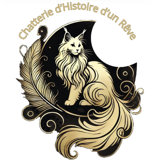 Chatterie Histoire d'un rêve - Maine Coon