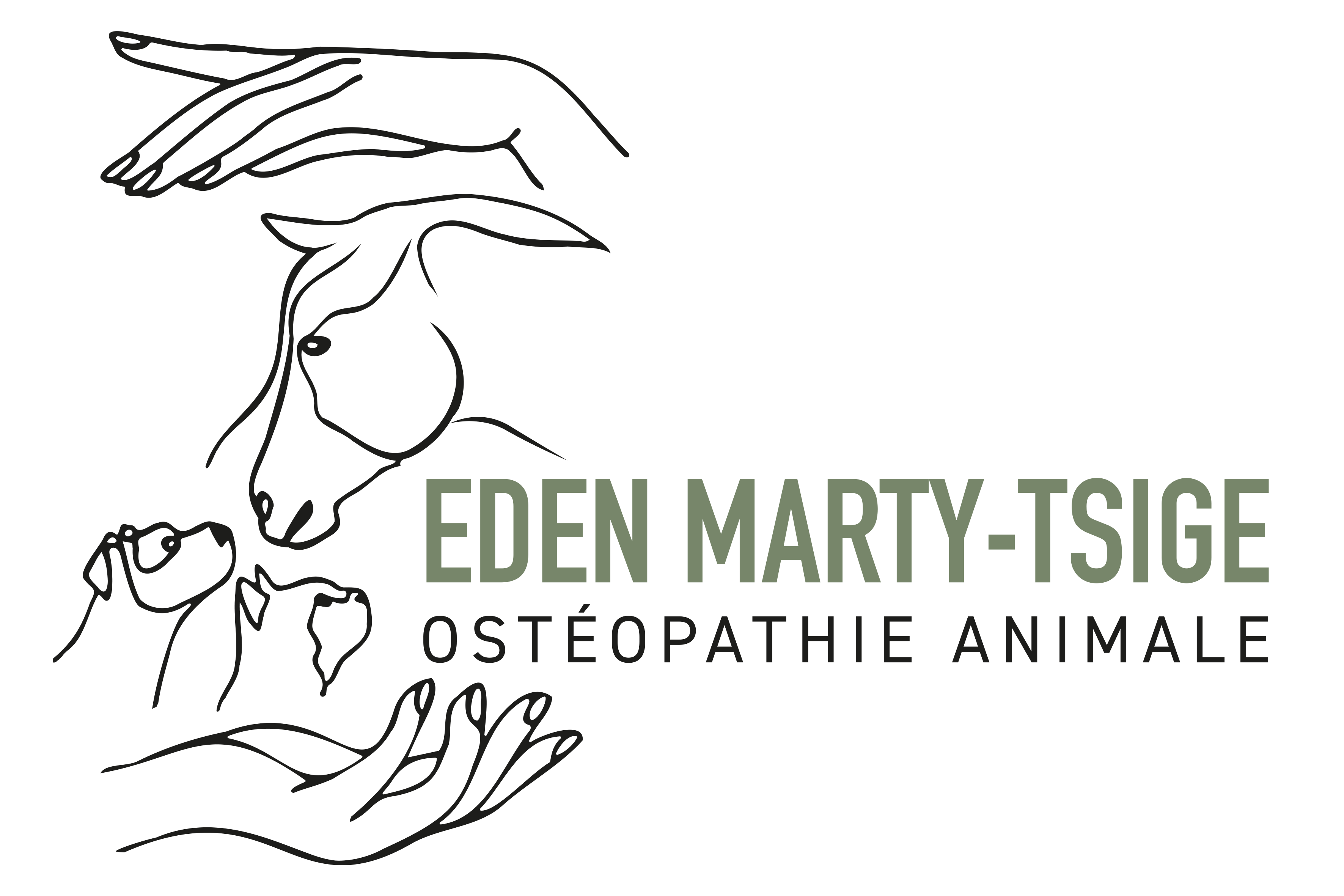 Eden Marty-Tsige
