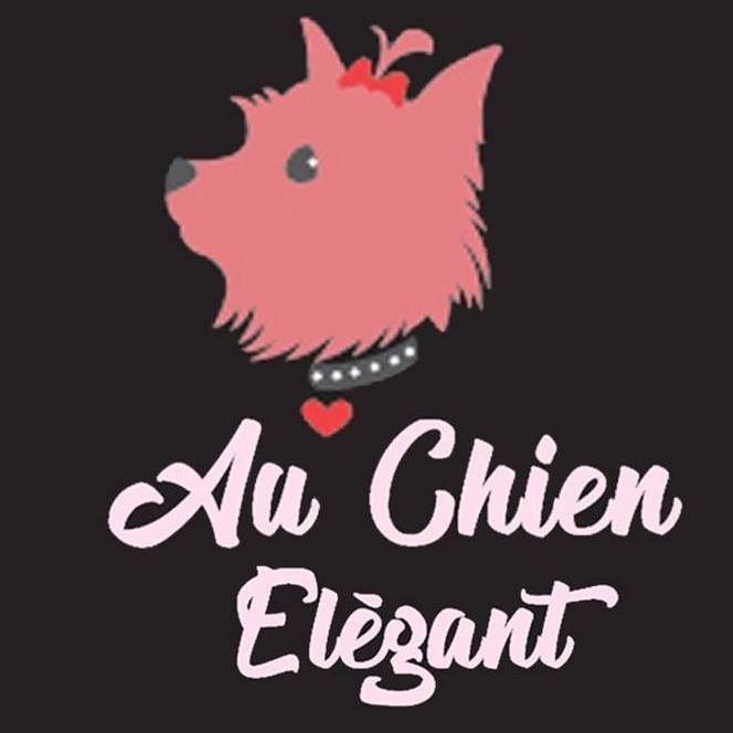 Au chien élégant
